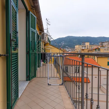 Gialò Vibe *