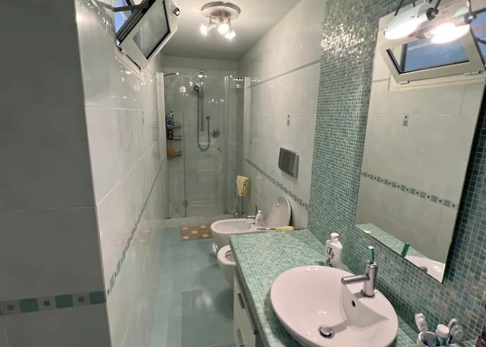 Gialo Vibe 알라시오